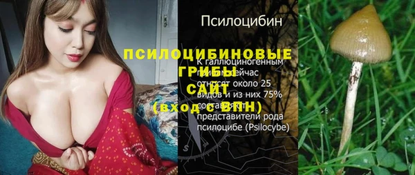 дживик Балабаново