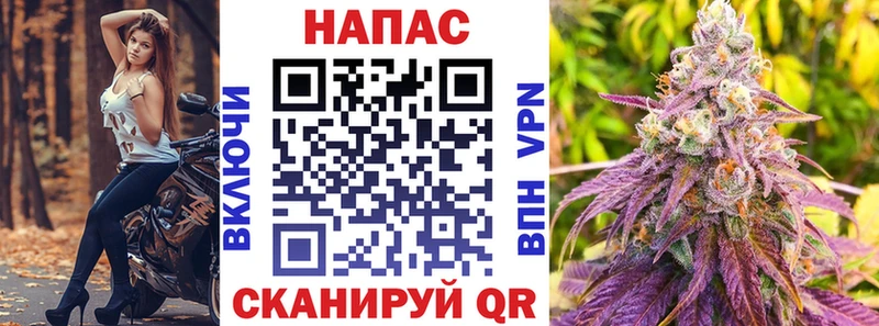 Канабис сатива Белоярский